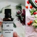 Healthy-Crop-Source-Of-Vegetable-Oil